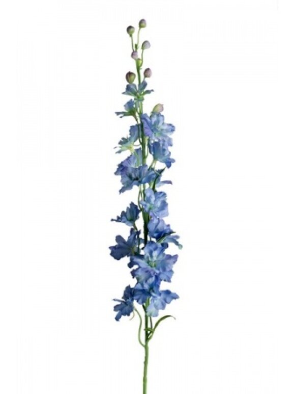 MR Plant - Delphinium 90 cm. Lys blå