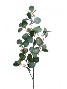 MR Plant - Eucalyptus 100 cm.