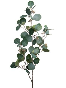 MR Plant - Eucalyptus 90CM