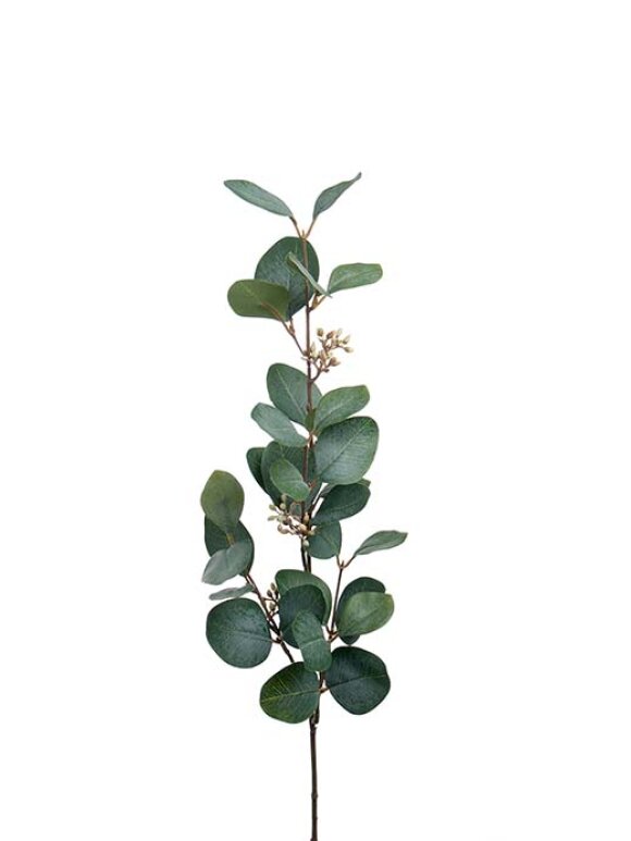 Mr. Plant - Eucalyptus med bær 80CM