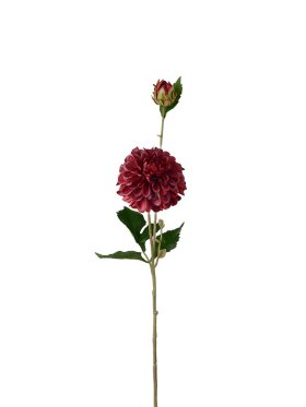 Mr. Plant - Dahlia Rød 70CM