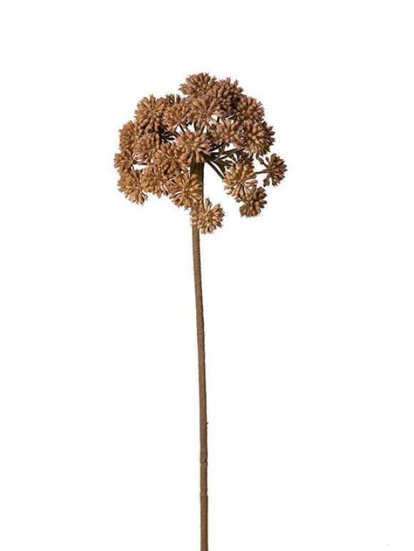 MR Plant - Angelica 70CM