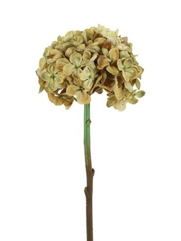 Barbara - Hortensia Beige 46 CM