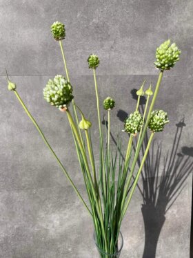 Barbara - Allium Grøn 85 Cm