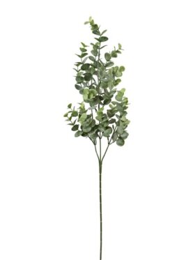 Barbara - Eucalyptus Gren H:69cm