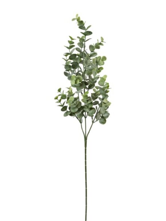 Barbara - Eucalyptus Gren H:69cm