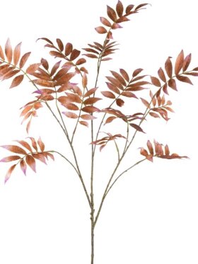 Barbara - Sorbus gren cinnamon 82 CM