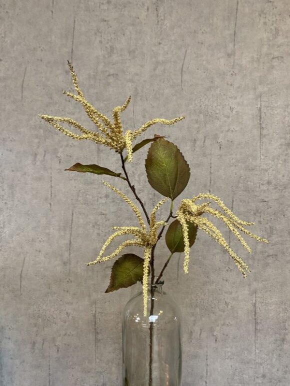 Barbara - Amaranthus Creme 78 CM