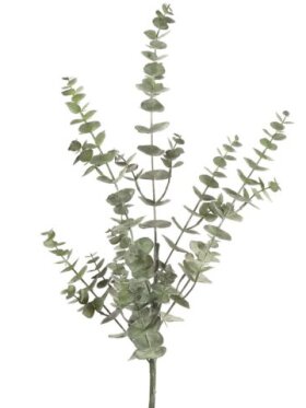 Barbara - Eucalyptus  90 CM