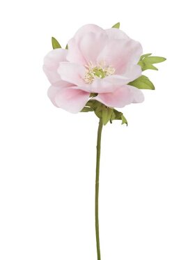 Mr. Plant - Anemone pink 43cm