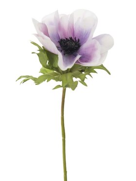 Mr. Plant - Anemone Lilla 43cm